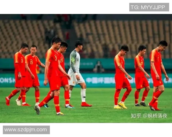 中国足球队教练薪水揭秘及其对球队发展的影响分析