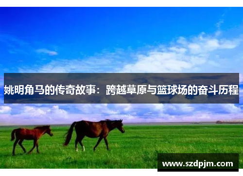 姚明角马的传奇故事：跨越草原与篮球场的奋斗历程