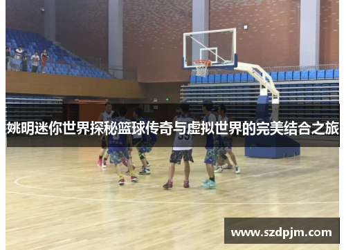 姚明迷你世界探秘篮球传奇与虚拟世界的完美结合之旅