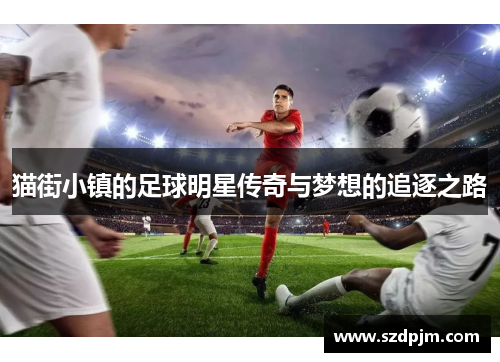 猫街小镇的足球明星传奇与梦想的追逐之路