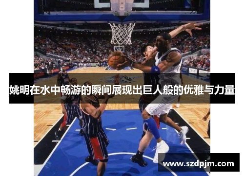 姚明在水中畅游的瞬间展现出巨人般的优雅与力量